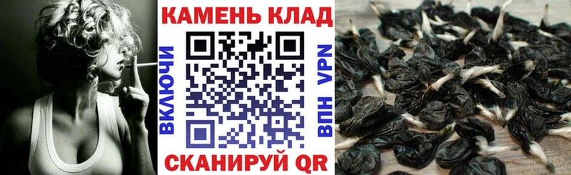 Гашиш AMNESIA HAZE  ссылка на мегу онион  Заинск  где купить  