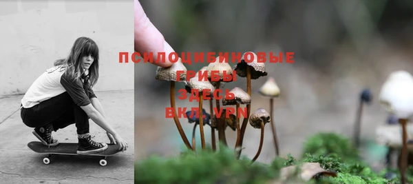 ешки Алексеевка