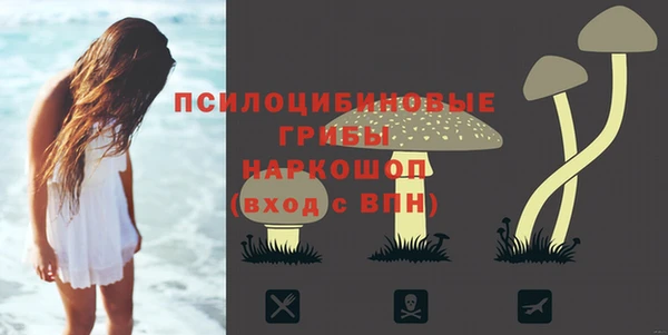 a pvp Алексин