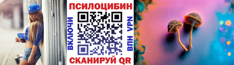 Псилоцибиновые грибы MAGIC MUSHROOMS  дарнет шоп  Заинск 