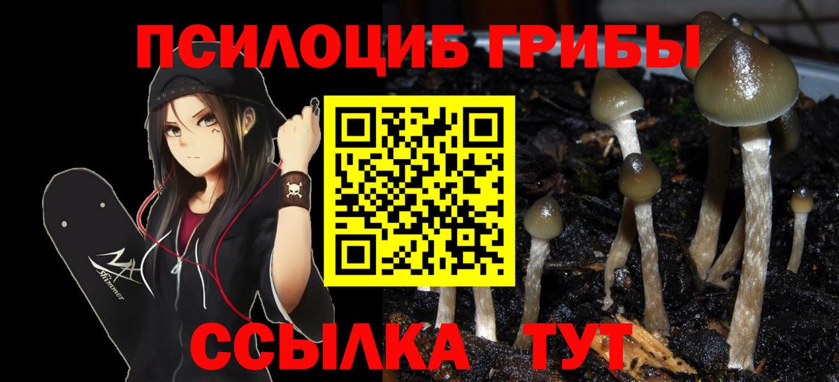Псилоцибиновые грибы мухоморы Заинск