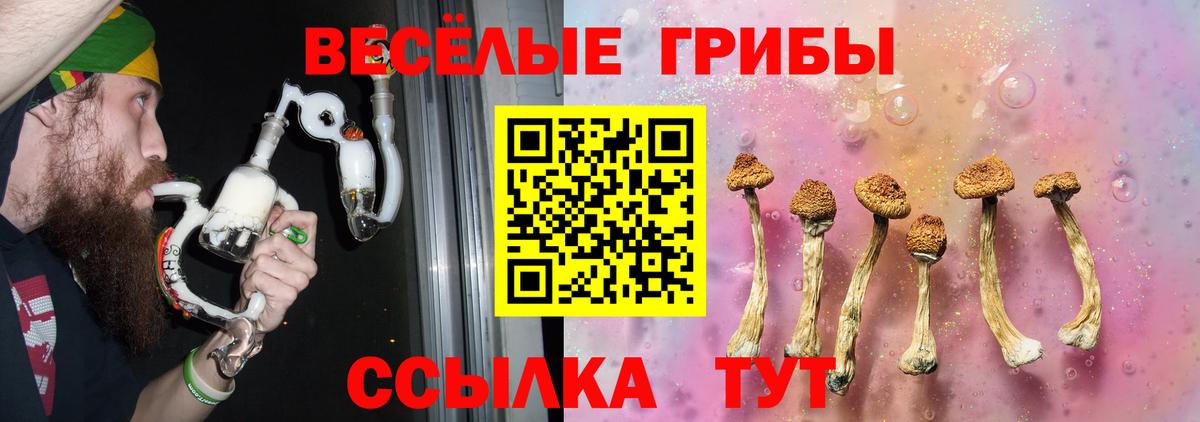 Галлюциногенные грибы Psilocybe  Галлюциногенные грибы Psilocybine cubensis  Вход с VPN  Заинск 